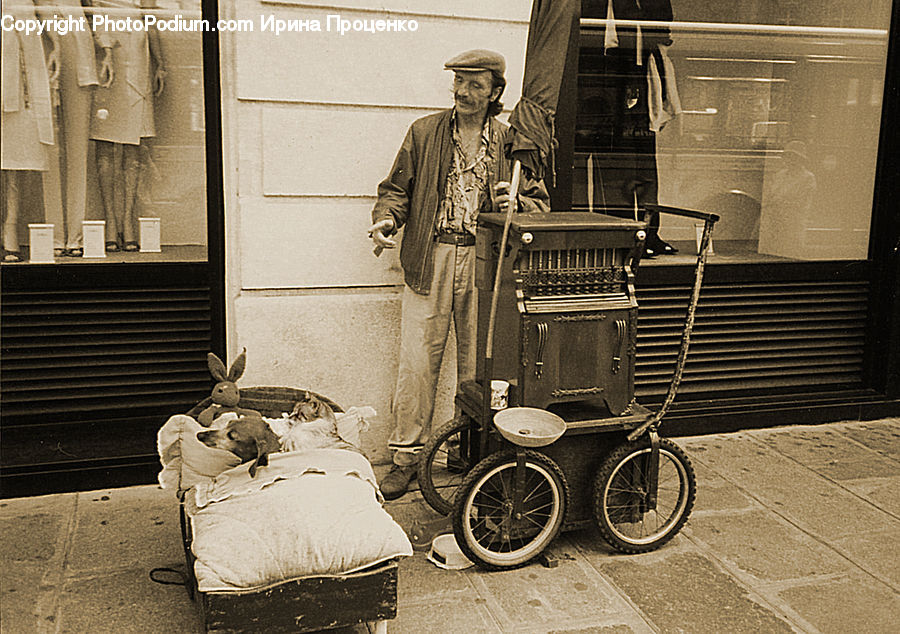 Tricycle, Vehicle, Brick, Moped, Motor Scooter, Motorcycle, Vespa