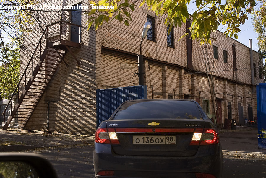 Plant, Potted Plant, Automobile, Car, Vehicle, Vine, Brick