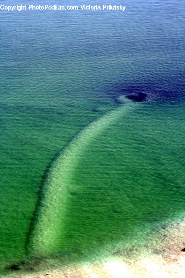 Outdoors, Sea, Water, Field, Grass, Grassland, Plant