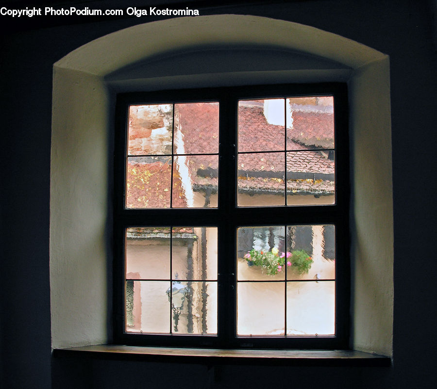 Window, Plant, Potted Plant, Flower, Flower Arrangement, Flower Bouquet, Table
