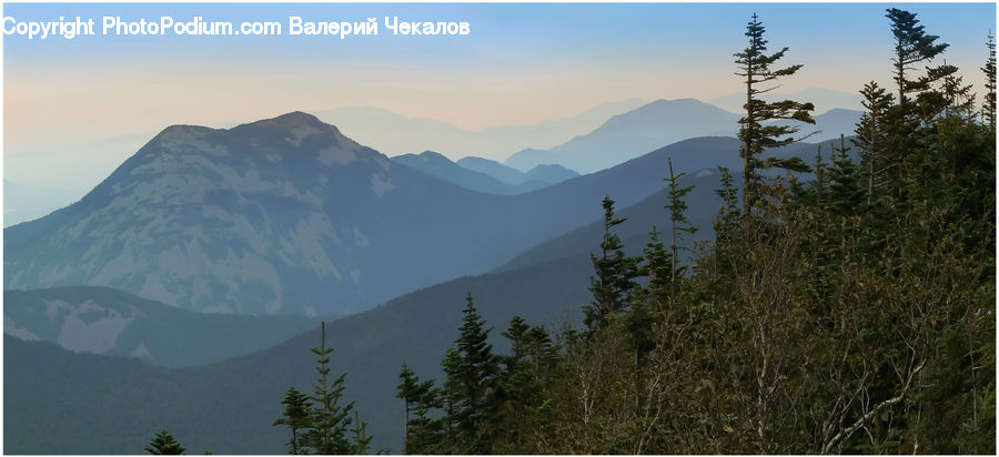 Crest, Mountain, Outdoors, Peak, Conifer, Fir, Pine