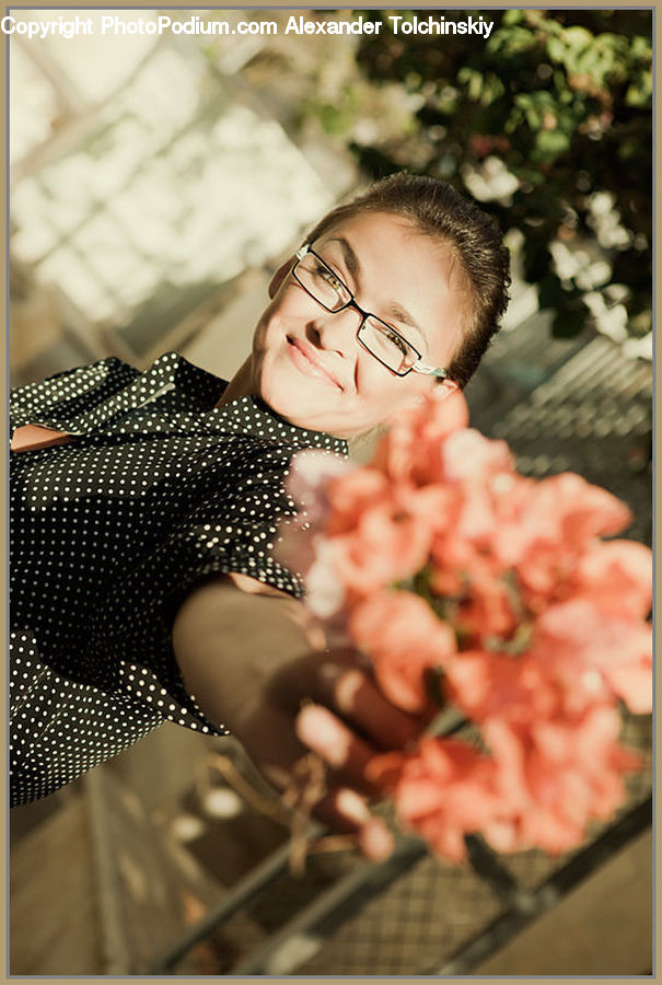 People, Person, Human, Plant, Potted Plant, Female, Girl