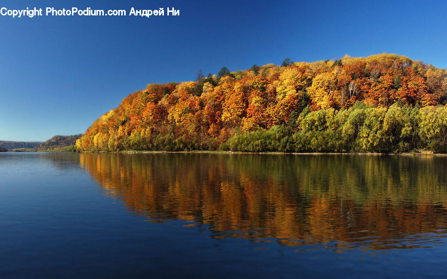 Lake, Outdoors, Water, Conifer, Fir, Plant, Tree