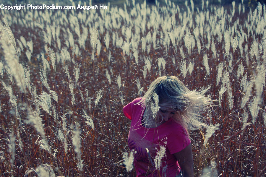 People, Person, Human, Blonde, Female, Woman, Lavender