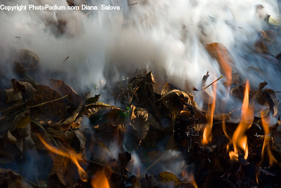 Smoke, Light, Fire, Flame, Fireplace, Hearth, Bonfire