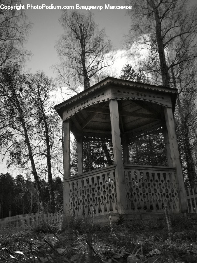 Gazebo, Plant, Tree, Tomb, Oak, Wood, Building