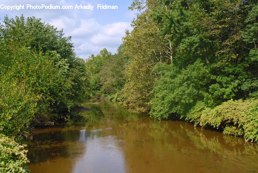 Outdoors, River, Water, Pond, Bush, Plant, Vegetation