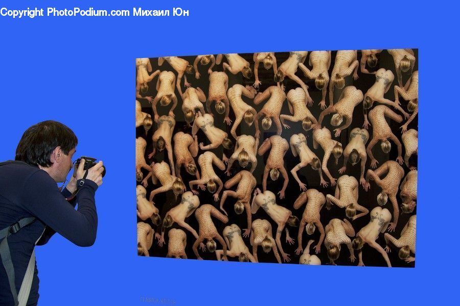 People, Person, Human, Photographer, Collage, Poster, Art