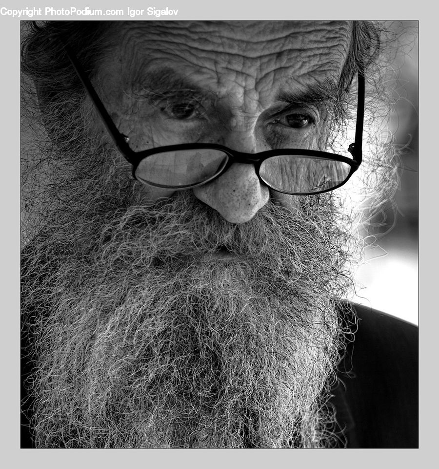 Beard, Hair, Person, Portrait, Selfie