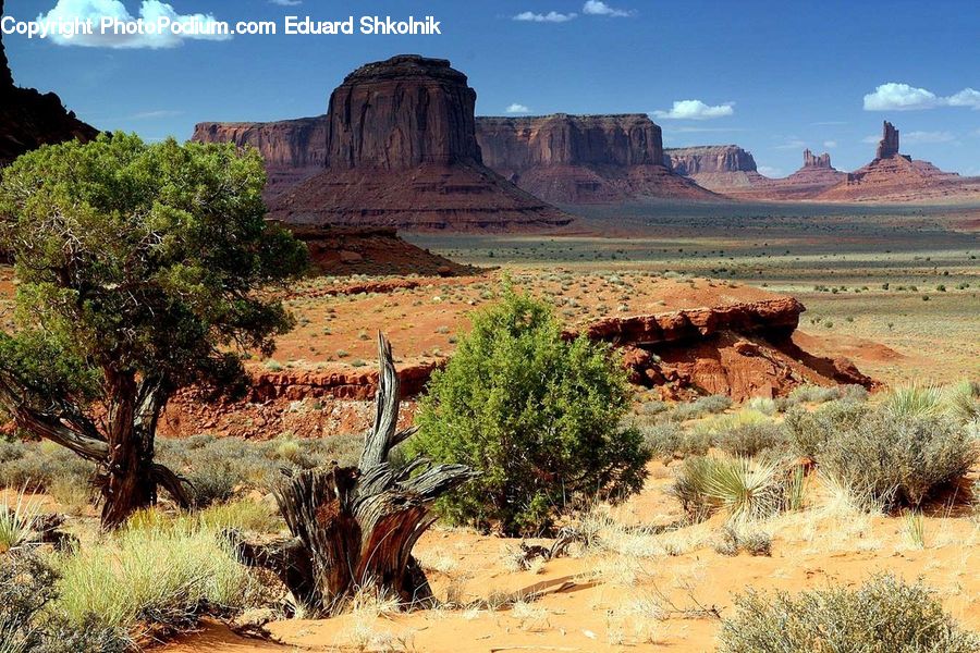 Mountain, Outdoors, Valley, Desert, Mesa, Bush, Plant