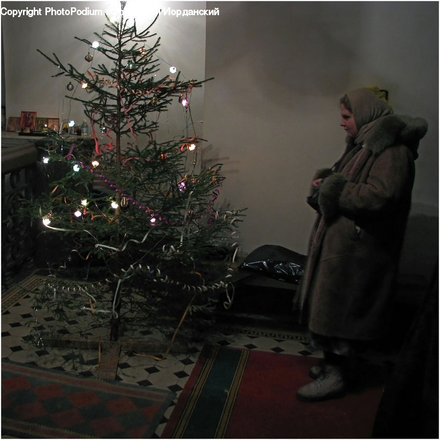 People, Person, Human, Plant, Potted Plant, Apartment, Housing