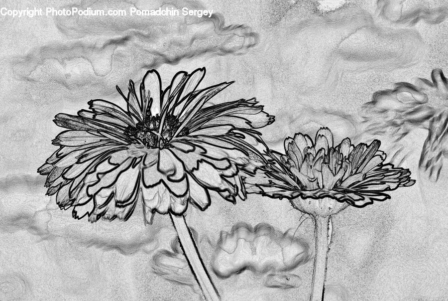 Drawing, Sketch, Art