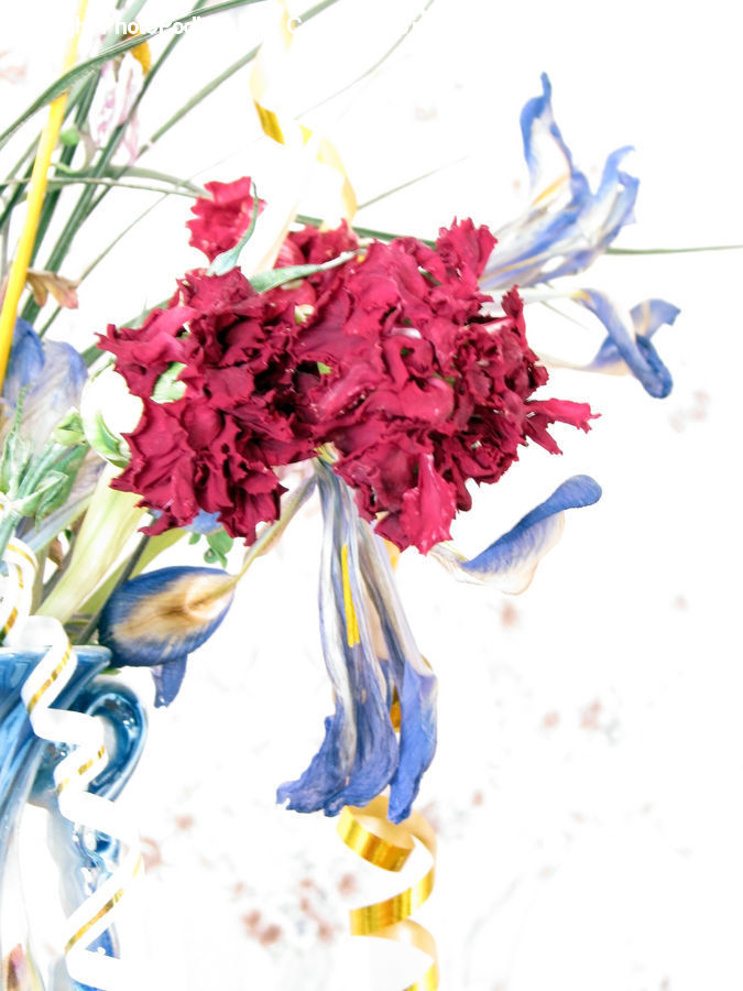 Floral Design, Flower, Flower Arrangement, Flower Bouquet, Ikebana, Blossom, Carnation