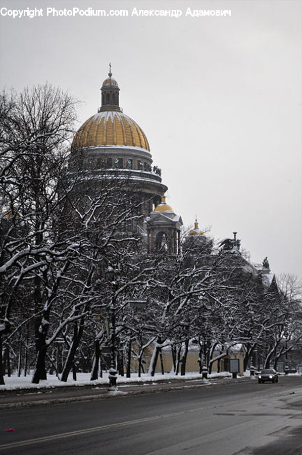 Architecture, Dome, Forest, Vegetation, Ice, Outdoors, Snow