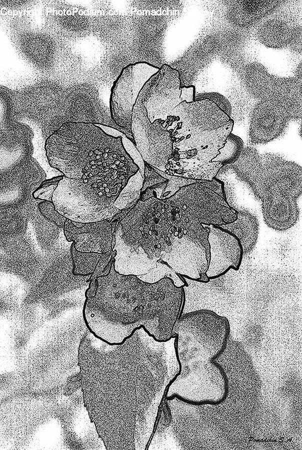 Drawing, Sketch, Art, Outdoors, Sand, Soil