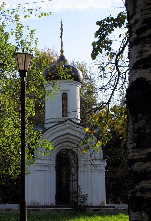 Plant, Potted Plant, Architecture, Bell Tower, Clock Tower, Tower, Outdoors