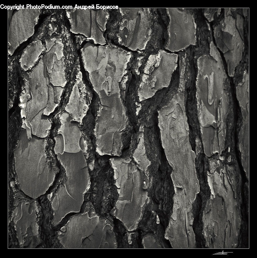 Rock, Art, Oak, Tree, Wood