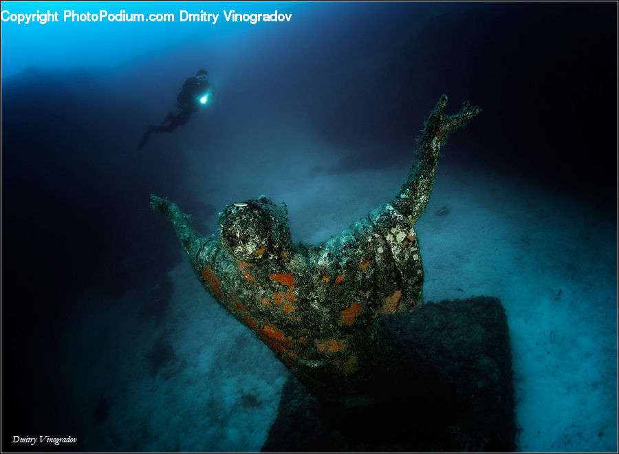 Shipwreck, Diver, Diving, Person, Water, Coral Reef, Outdoors
