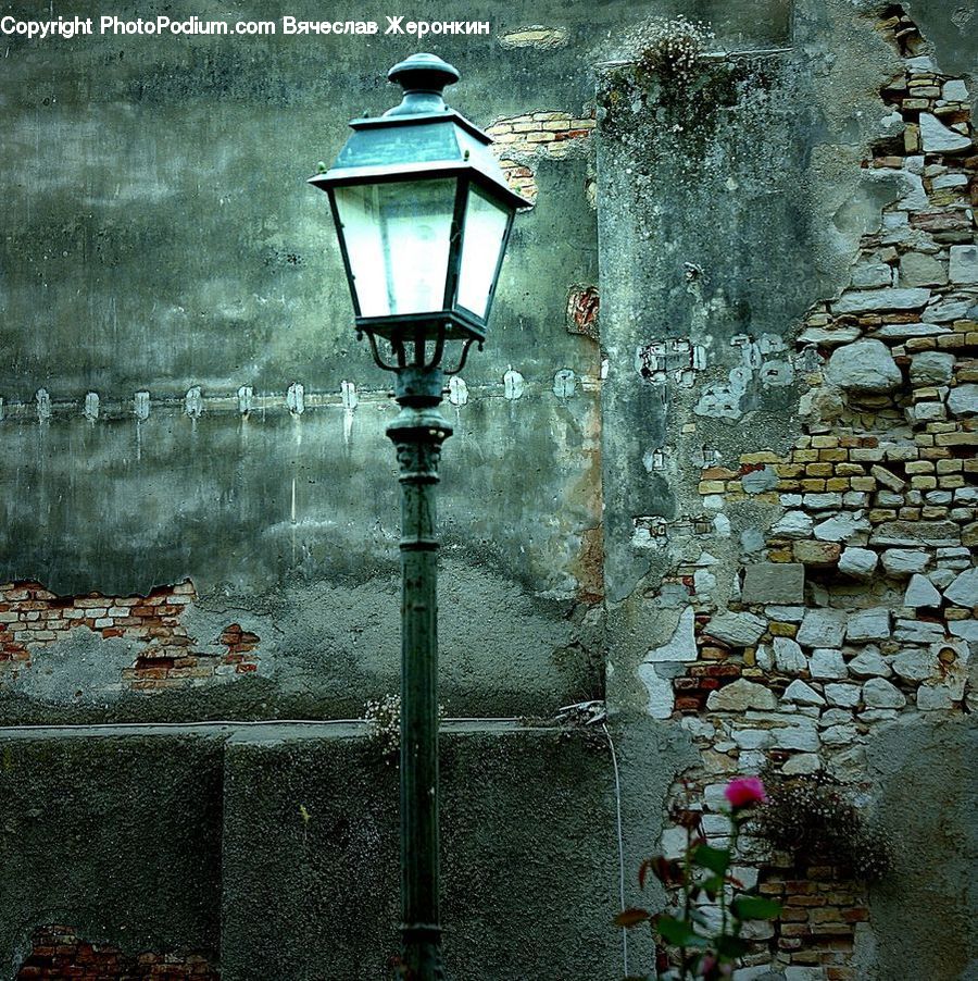 Lamp Post, Pole, Fence, Wall, Plant, Potted Plant, Flower