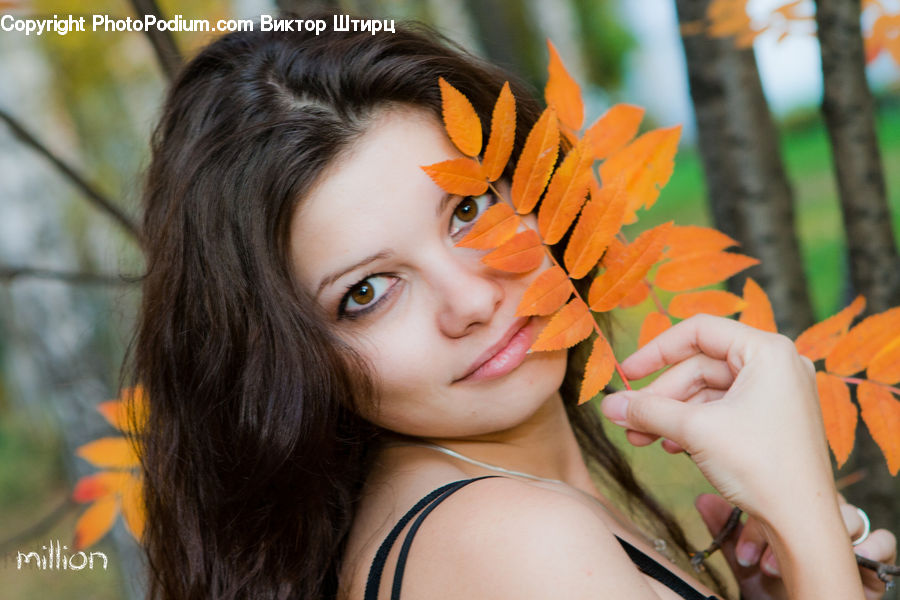 People, Person, Human, Female, Girl, Woman, Leisure Activities