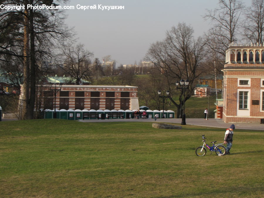 Field, Grass, Lawn, Classroom, School, Yard, Grassland
