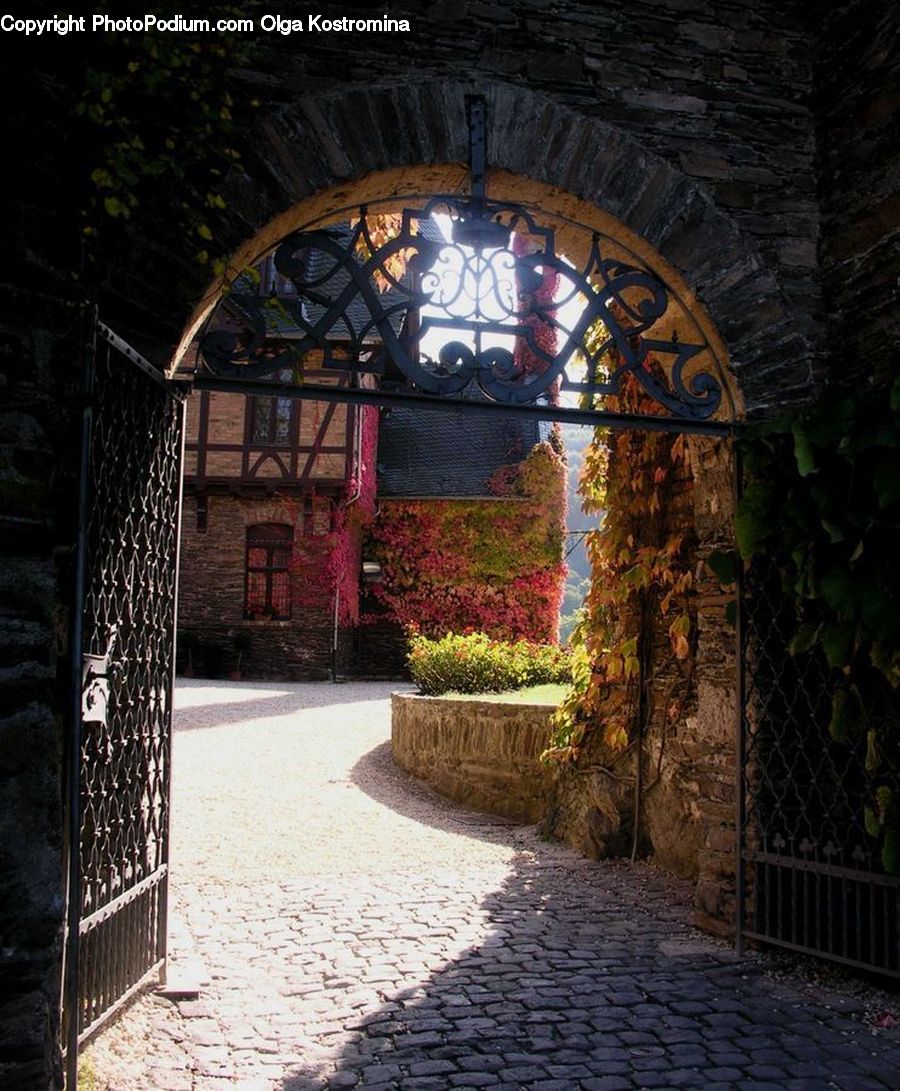 Plant, Potted Plant, Arch, Gate, Ivy, Vine, Patio