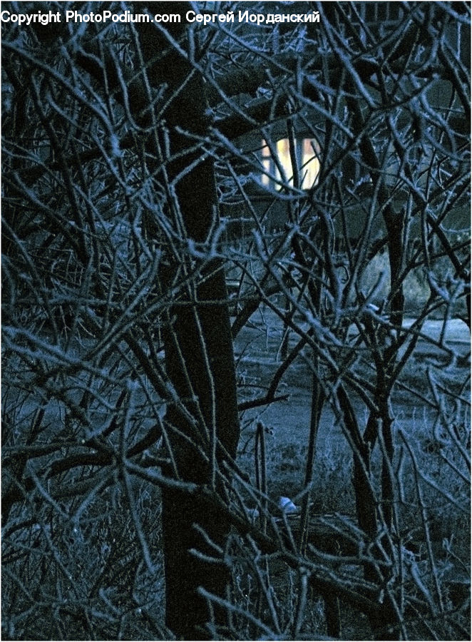 Ice, Outdoors, Snow, Art, Modern Art, Field, Grass