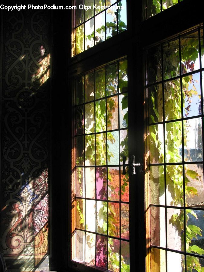Window, Shop, Art, Lighting