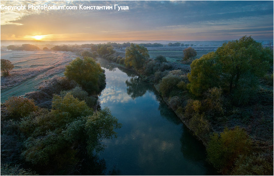 Bush, Plant, Vegetation, Dawn, Dusk, Sky, Sunrise