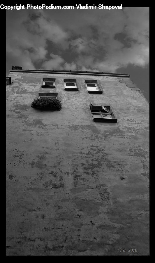 Plant, Potted Plant, Brick, Building, Housing, Villa, Boat