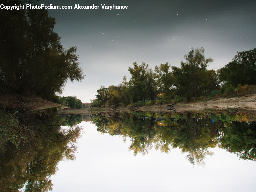 Outdoors, Pond, Water, Canal, River, Blossom, Flora