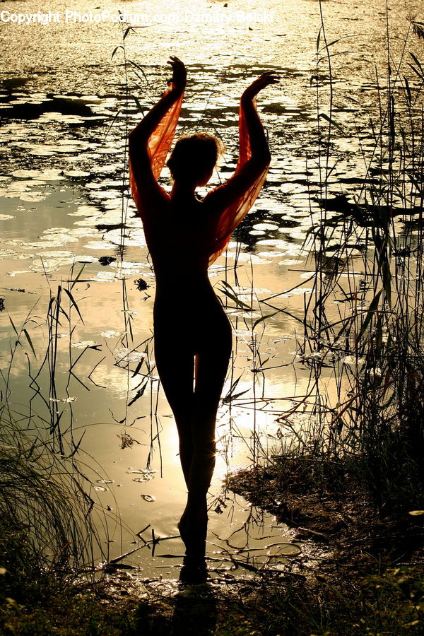 People, Person, Human, Dance, Dance Pose, Silhouette, Field