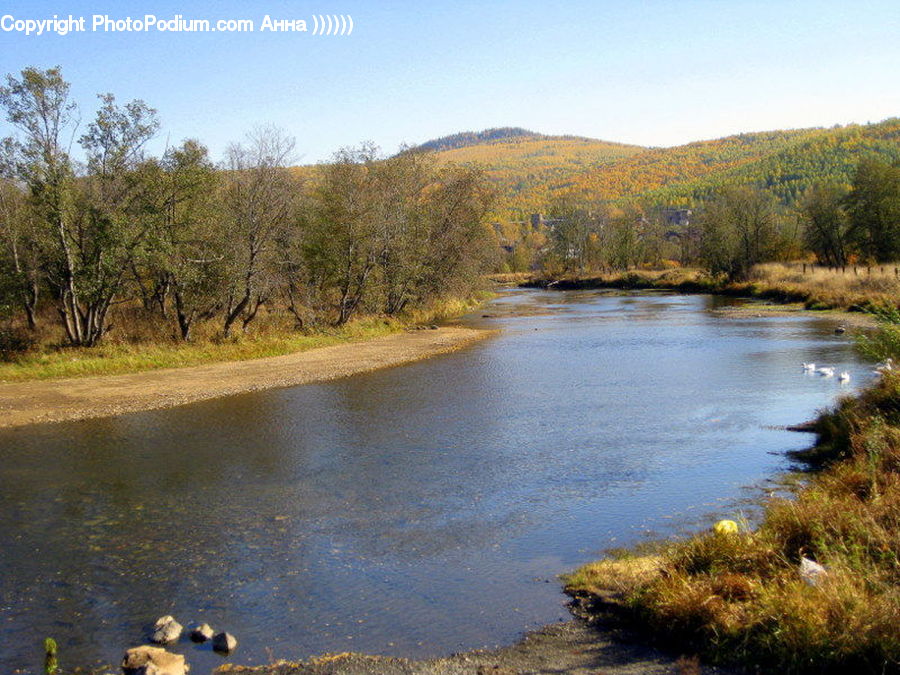 Outdoors, River, Water, Creek, Lake, Pond, Blossom