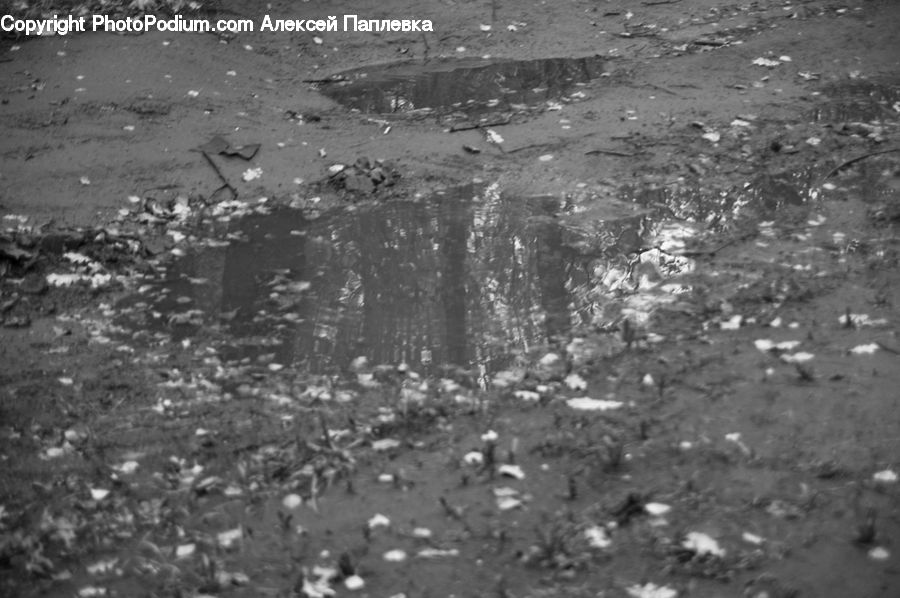 Ground, Soil, Asphalt, Tarmac, City, Downtown