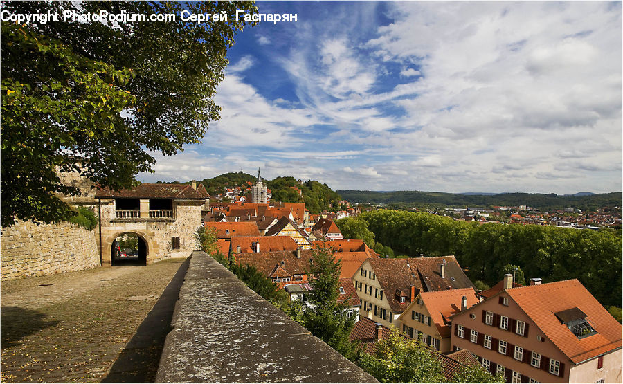 Building, Downtown, Town, Neighborhood, Cottage, Housing, Countryside
