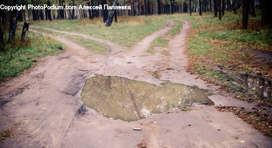 Dirt Road, Gravel, Road, Grassland, Mound, Flagstone, Path