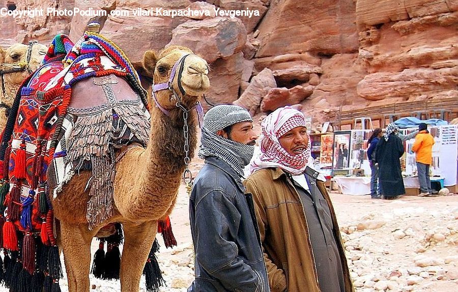 People, Person, Human, Animal, Camel, Mammal, Hat