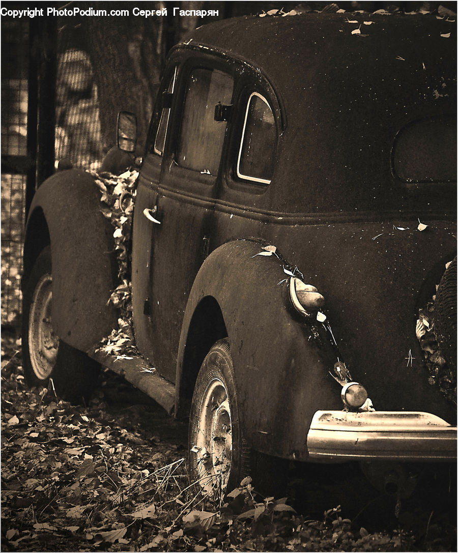 Automobile, Car, Sedan, Vehicle, Caravan, Van