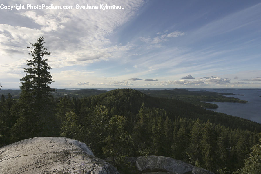 Crest, Mountain, Outdoors, Peak, Conifer, Fir, Plant