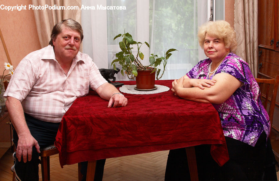 Plant, Potted Plant, People, Person, Human, Bonsai, Tree