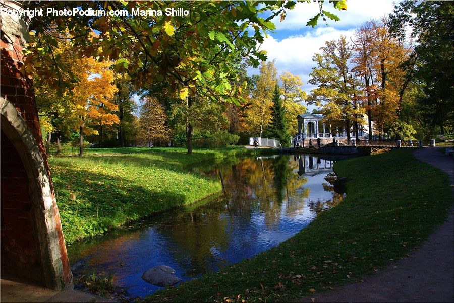 Canal, Outdoors, River, Water, Pond, Park, Fir