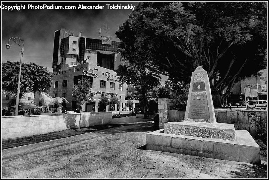 Plant, Potted Plant, Tomb, Architecture, Downtown, Plaza, Town Square