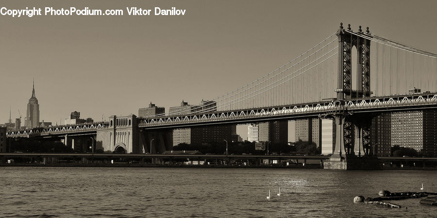 Bridge, Train, Vehicle, City, Downtown, Urban, Building