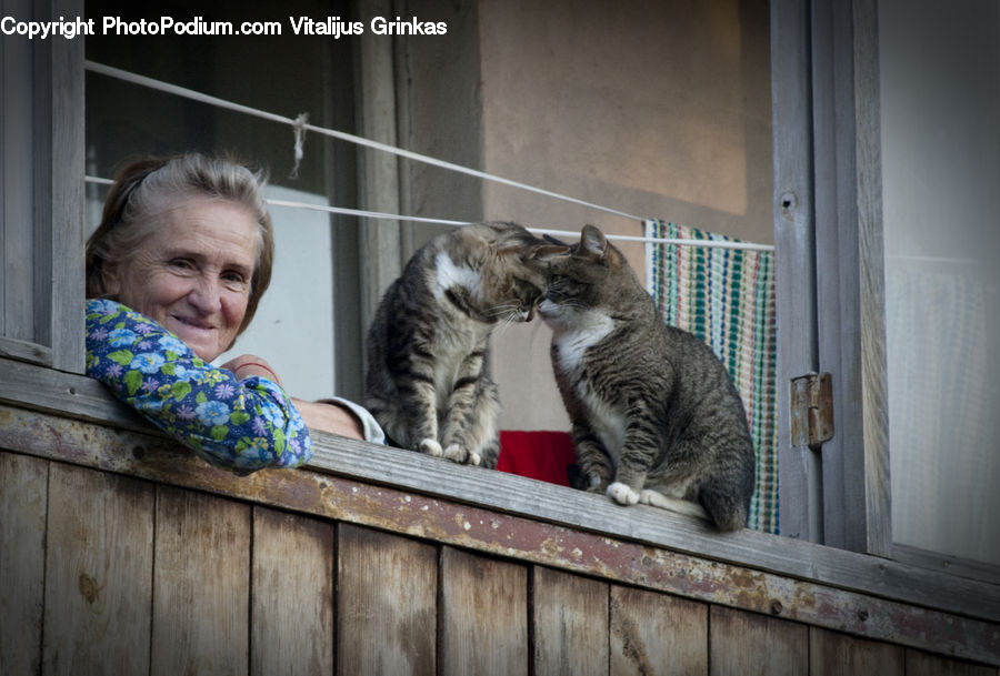 People, Person, Human, Animal, Cat, Mammal, Pet