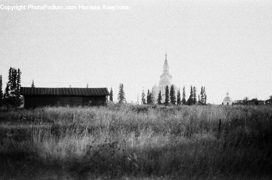 Grass, Plant, Reed, Architecture, Tower, Cabin, Hut