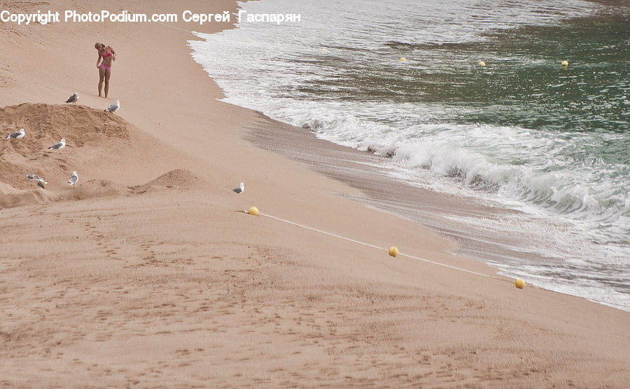 Beach, Coast, Outdoors, Sea, Water, Sand, Soil