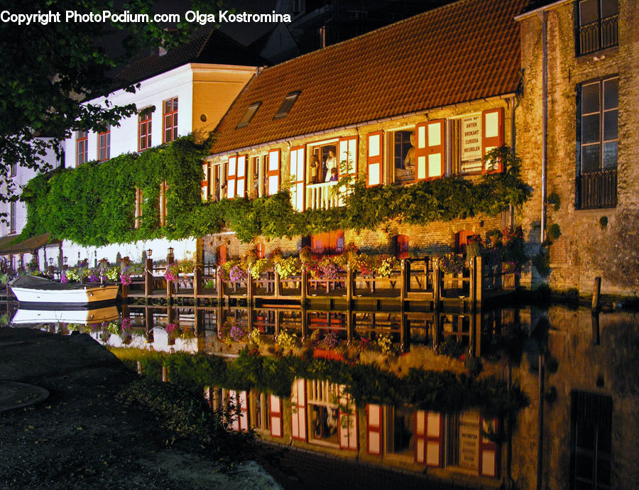 Building, Housing, Plant, Potted Plant, Downtown, Town, Villa