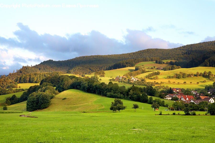 Countryside, Outdoors, Golf Course, Grassland, Hill, Fence, Hedge