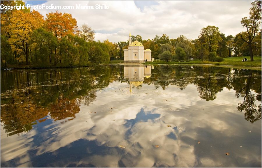 Outdoors, Pond, Water