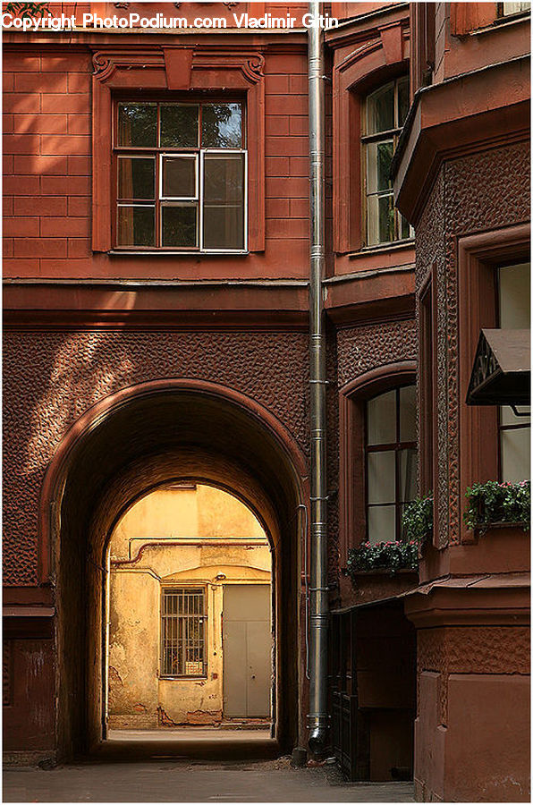 Plant, Potted Plant, Window, Apartment Building, Building, High Rise, Altar